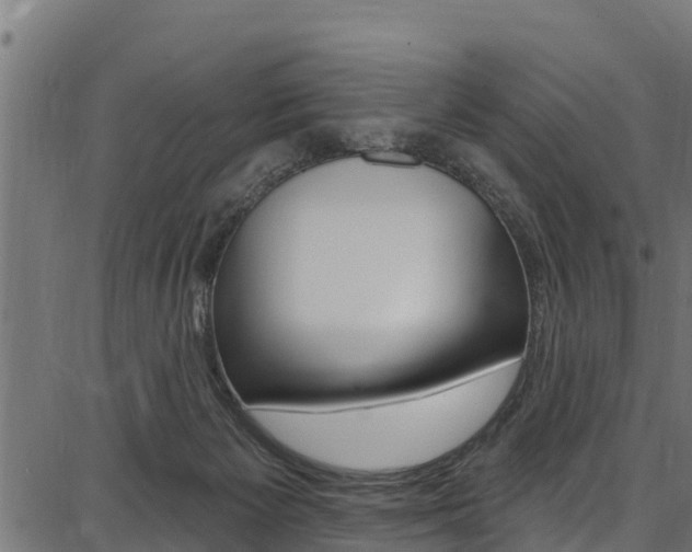 X0000086750125200704130808