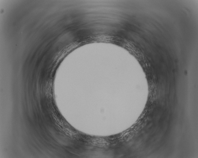 X0000086750146200704130807