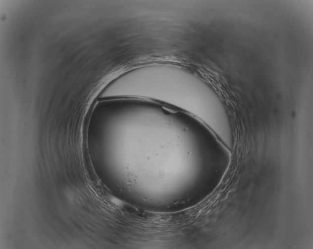 X0000086750148200704130807