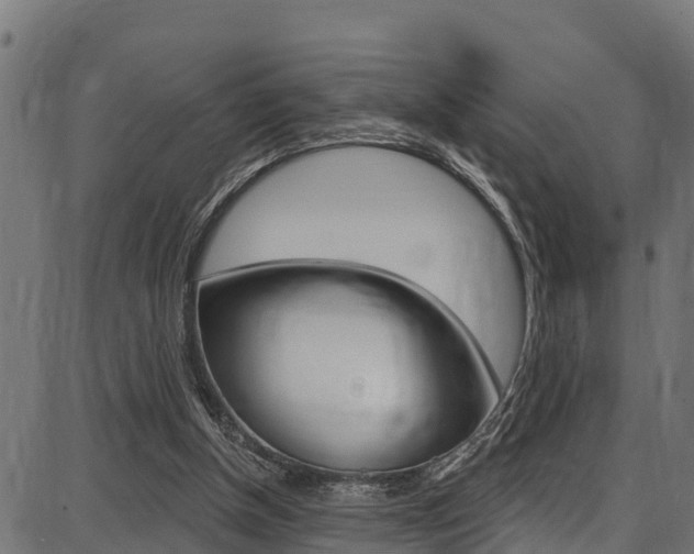X0000086750154200704130807