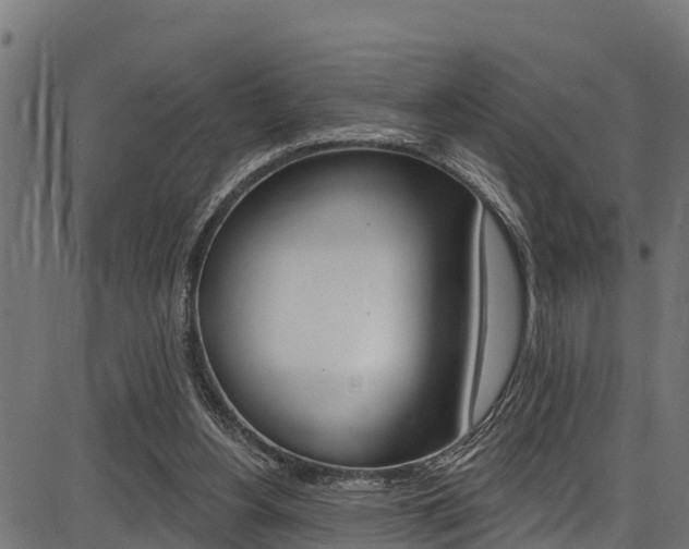 X0000086750156200704130807