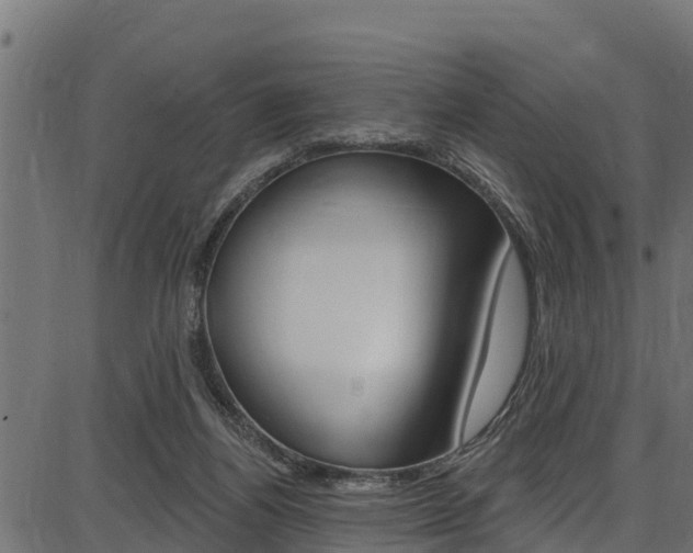X0000086750164200704130807