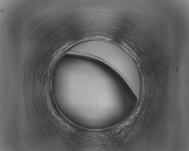 X0000086750193200704130807