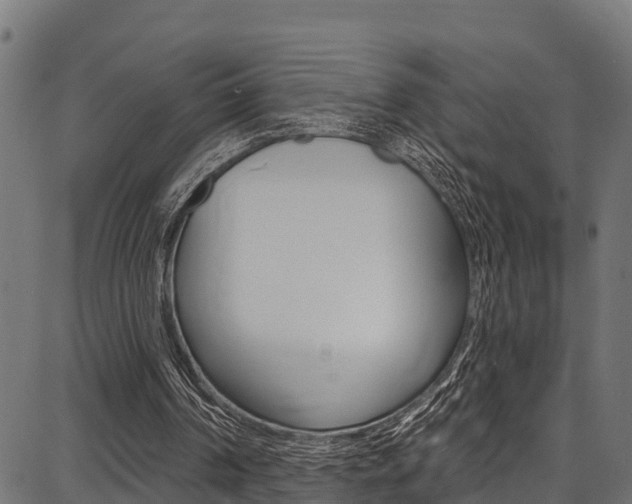 X0000086750194200704130807
