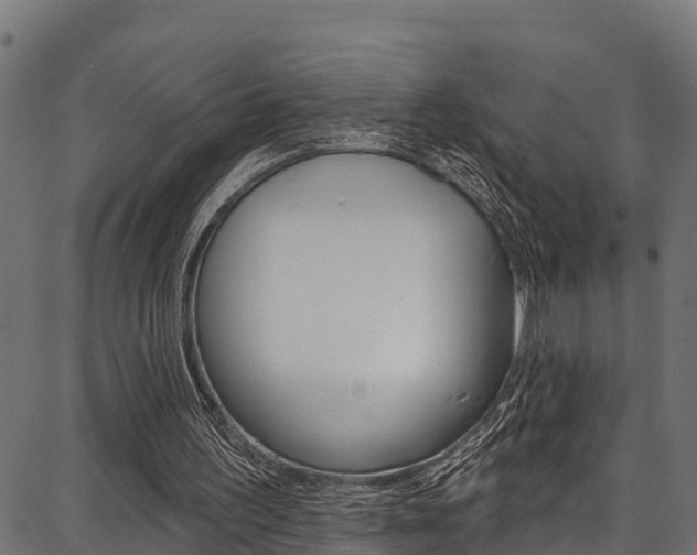 X0000086750195200704130807