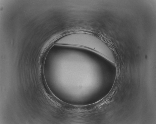 X0000086750197200704130807