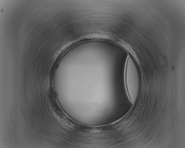 X0000086750204200704130807