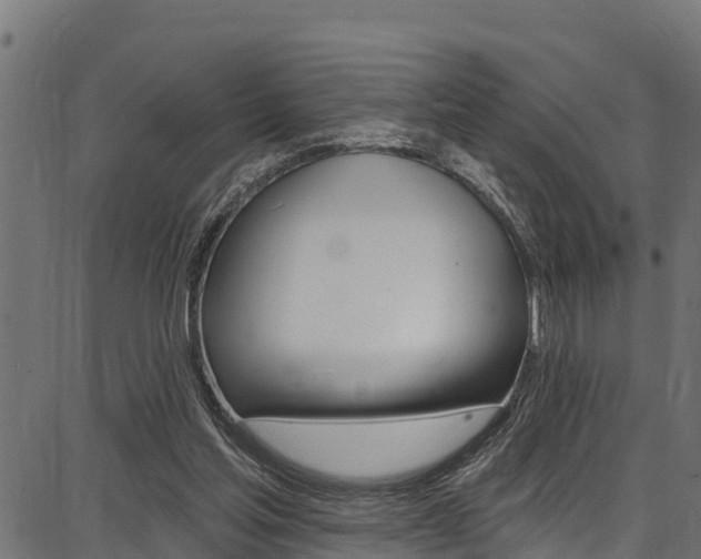 X0000086750205200704130807