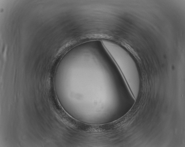 X0000086750207200704130807