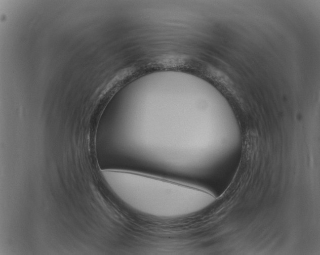 X0000086750212200704130807