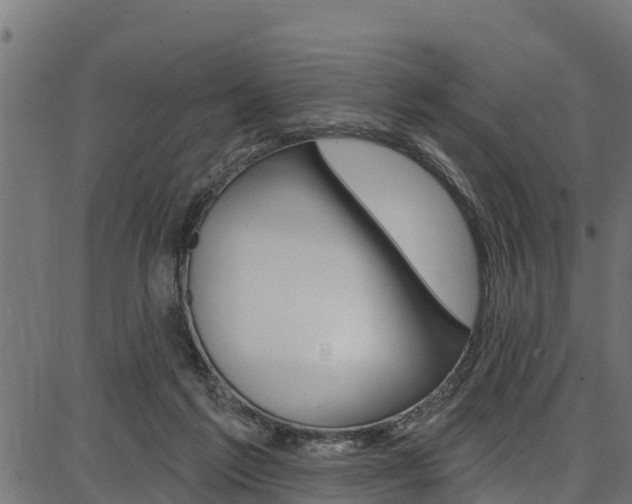 X0000086750213200704130807