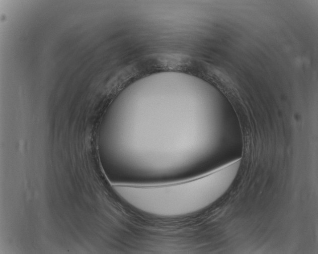 X0000086750221200704130806