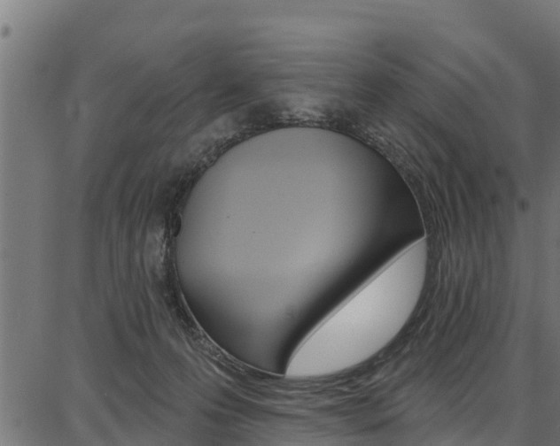 X0000086750223200704130806