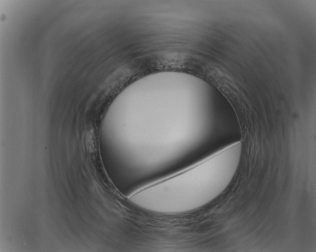 X0000086750224200704130806