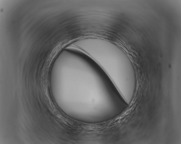 X0000086750241200704130805