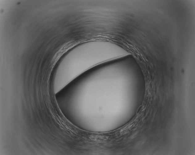 X0000086750242200704130805