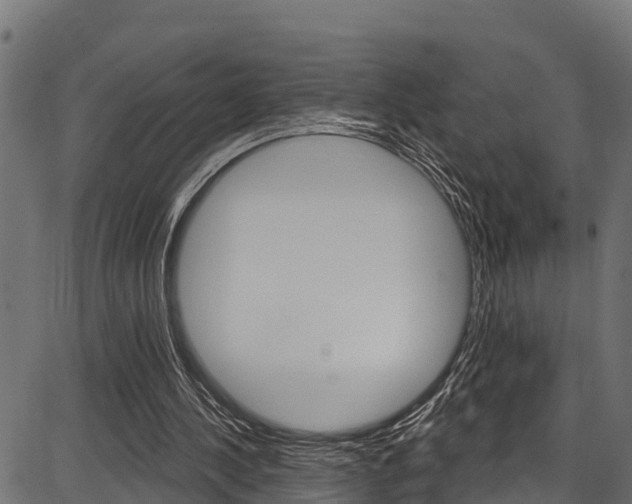 X0000086750244200704130805