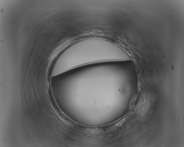 X0000086750245200704130805