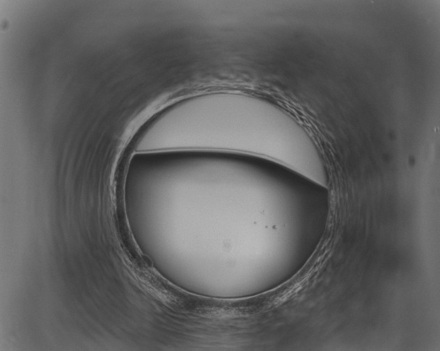 X0000086750246200704130805