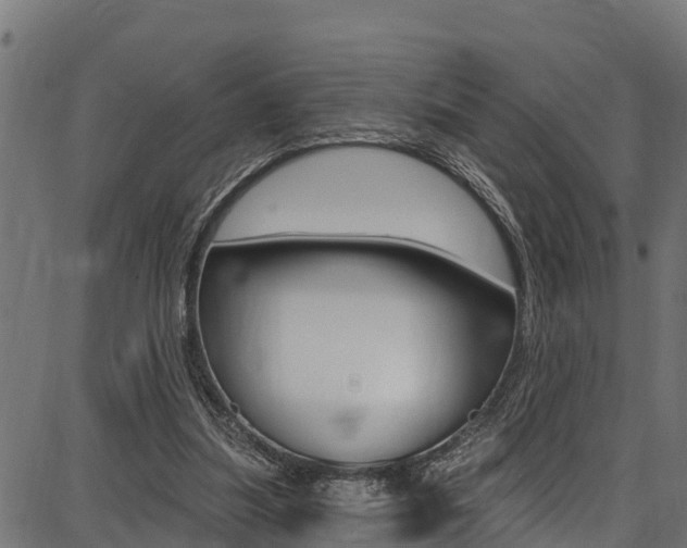 X0000086750251200704130805