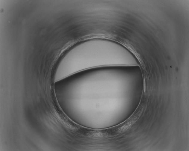 X0000086750253200704130806
