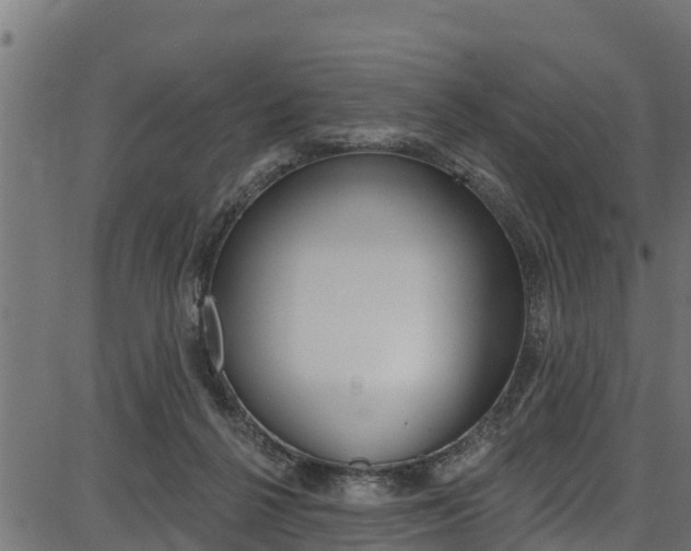 X0000086750264200704130806