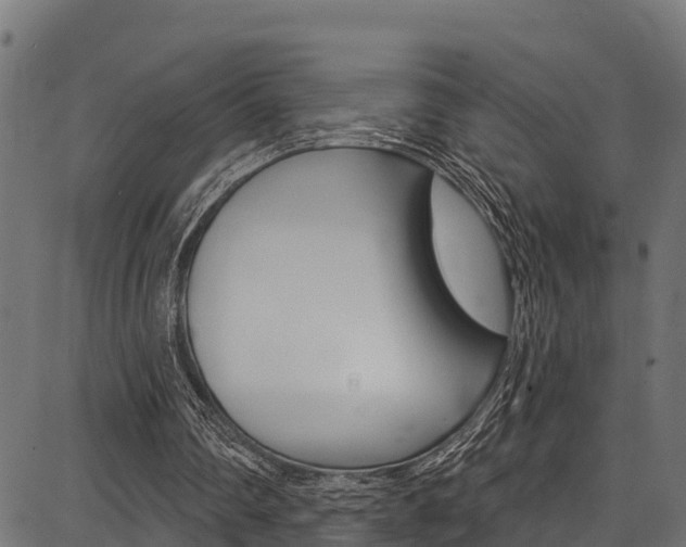 X0000086750290200704130805