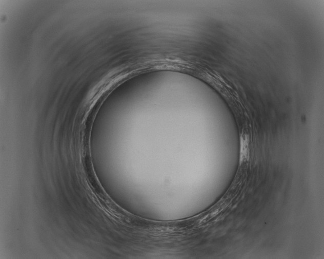 X0000086750291200704130805