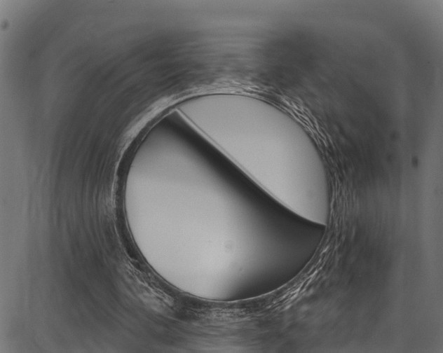 X0000086750292200704130805