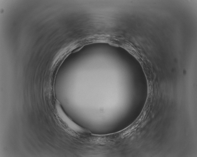 X0000086750293200704130805