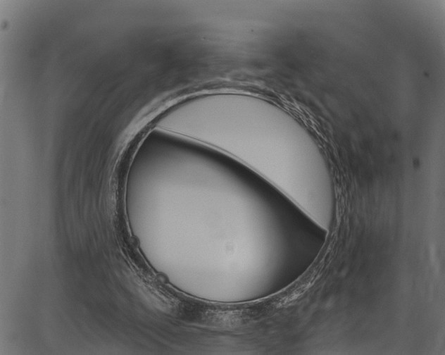 X0000086750295200704130805