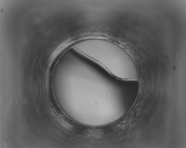 X0000086750296200704130805