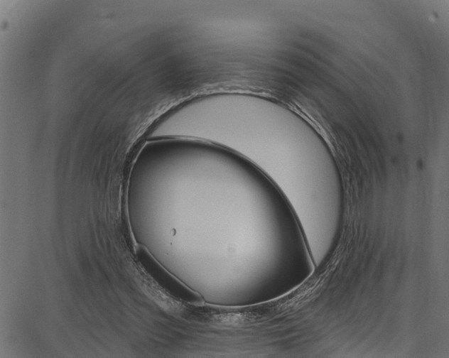 X0000086750301200704130805