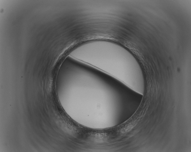 X0000086750304200704130805