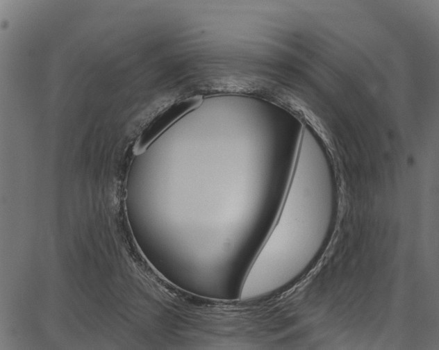 X0000086750305200704130805