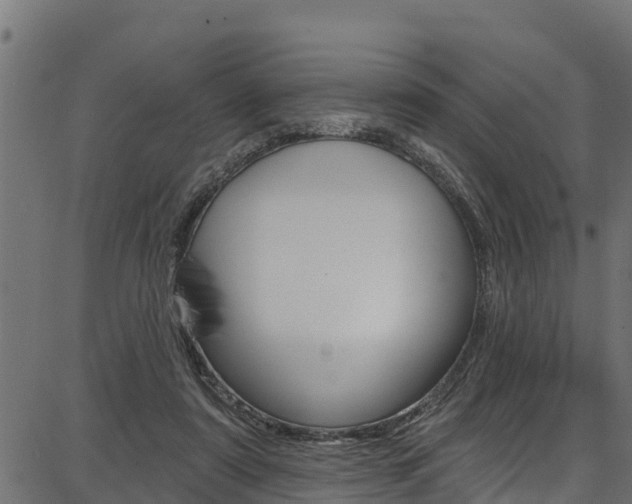 X0000086750307200704130805