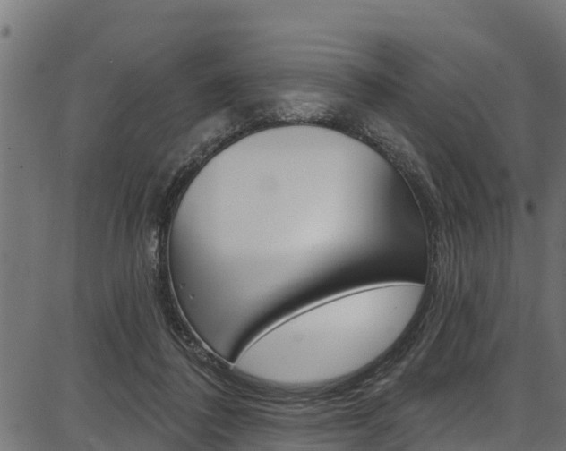 X0000086750308200704130805
