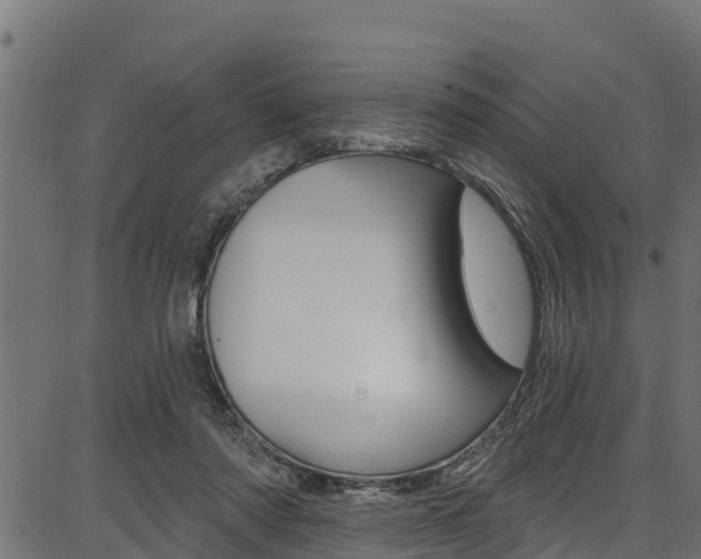 X0000086750310200704130805