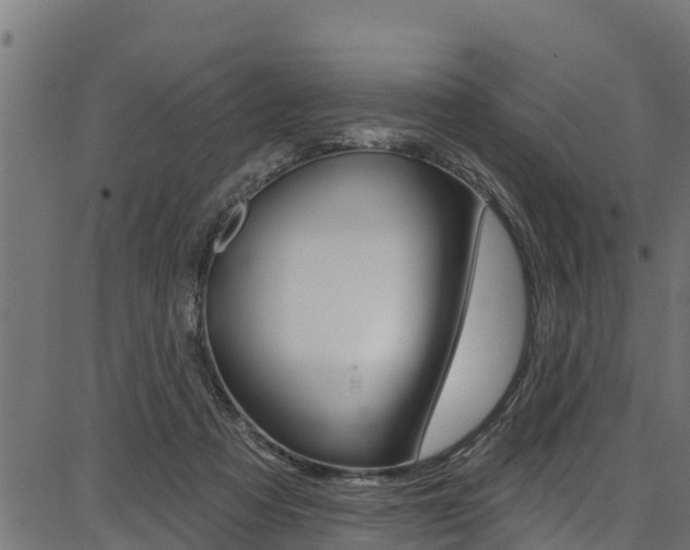 X0000086750313200704130805