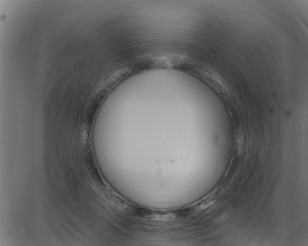 X0000086750314200704130805