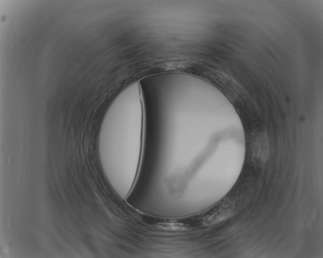 X0000086750316200704130805