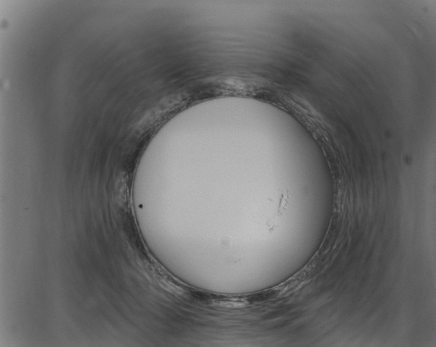 X0000086750318200704130805