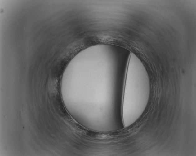 X0000086750319200704130805