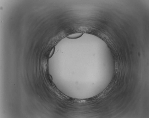 X0000086750334200704130805