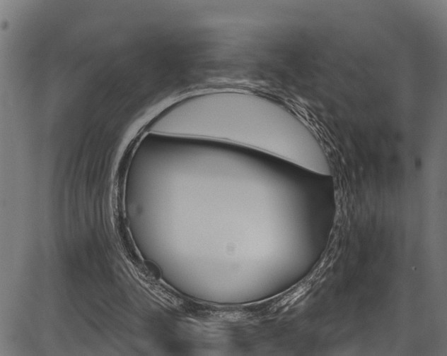 X0000086750342200704130804