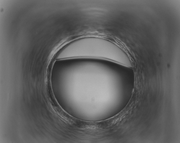 X0000086750344200704130804