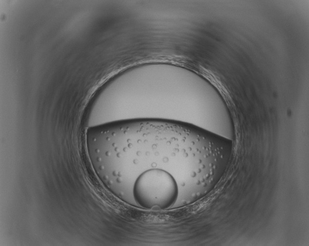 X0000086750346200704130804