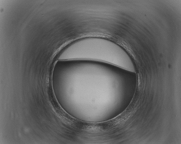 X0000086750348200704130804