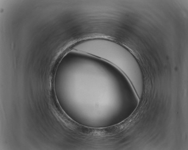 X0000086750350200704130804