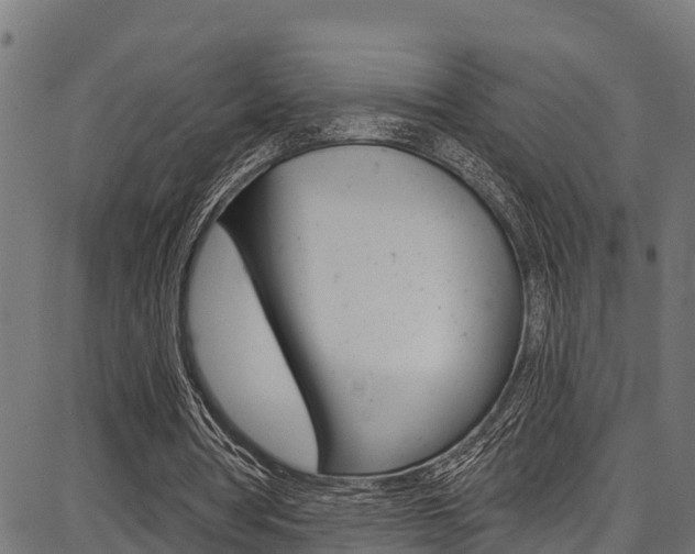 X0000086750386200704130804